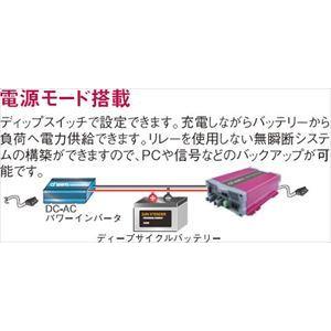 バッテリー充電器 24V 対応 / CX2440［正規品／日本語の説明書付き