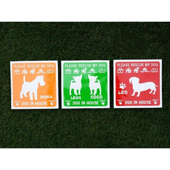 1色 エマージェンシーステッカー Dog in House ワンちゃん シルエット