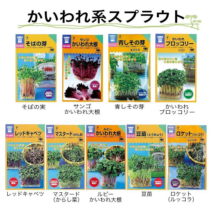種】 選べる！スプラウトの種 5袋セット（送料無料・郵便配送商品 