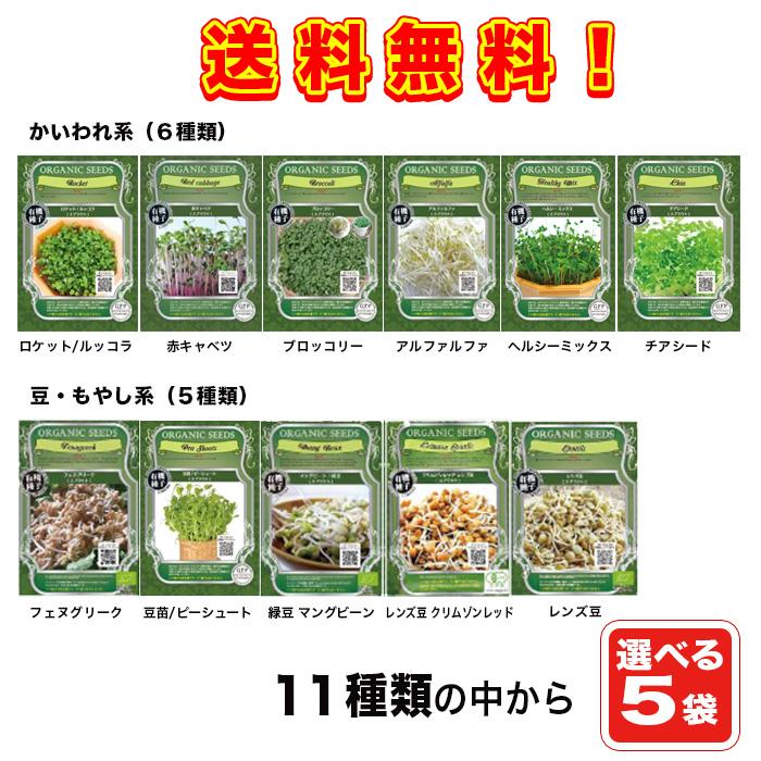 種 13種類から選べるオーガニックスプラウト種 5袋セット 送料無料 現在 バジルのスプラウト が欠品中 です ご了承ください Gfp Nature Ami 通販 Yahoo ショッピング