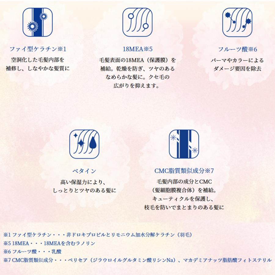 テモイ テモイプルーム ヘアマスク 250g TEMOI PLUME HAIRMASK