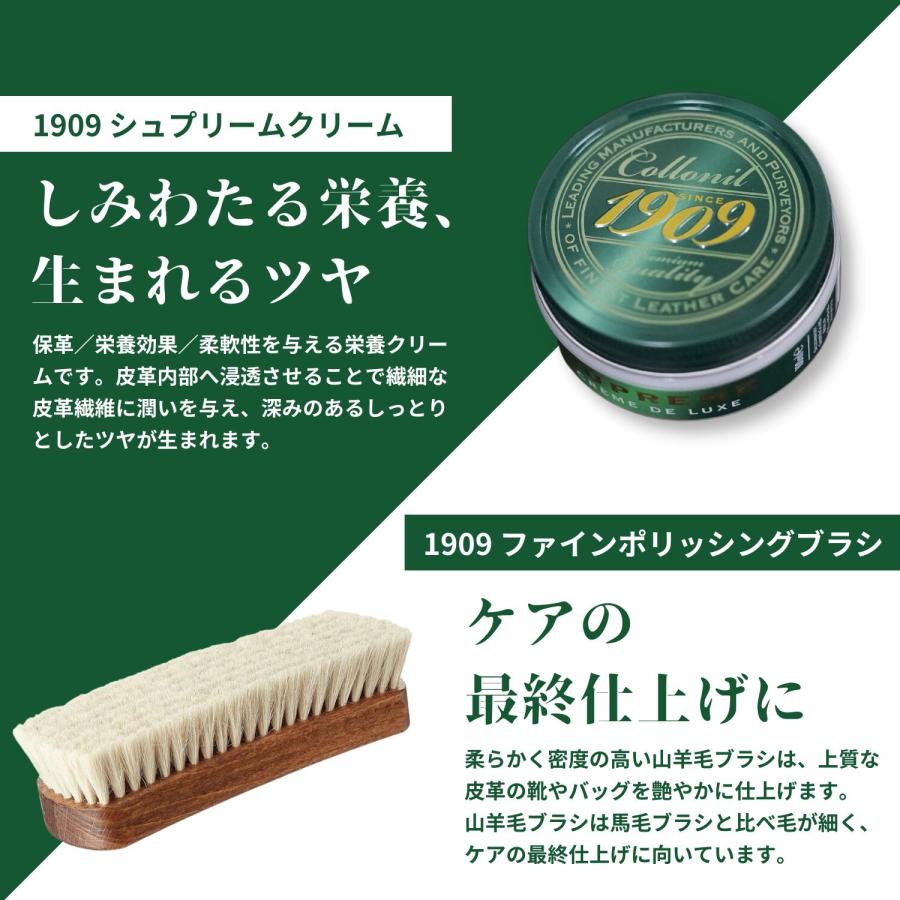 コロニル　4点セット COLLONIL 【ドイツ製 創業100年の安心】コロニル 4点セット 靴