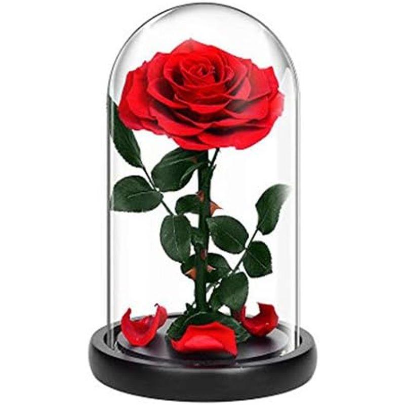 セール価格で販売 プリザーブドフラワー バラ ブラック 黒 ローズ 薔薇 花 可愛い ガラスドーム LEDライト付き 木製ベース ブリザードフラワー ロマンテ