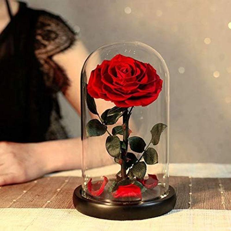 セール価格で販売 プリザーブドフラワー バラ ブラック 黒 ローズ 薔薇 花 可愛い ガラスドーム LEDライト付き 木製ベース ブリザードフラワー ロマンテ