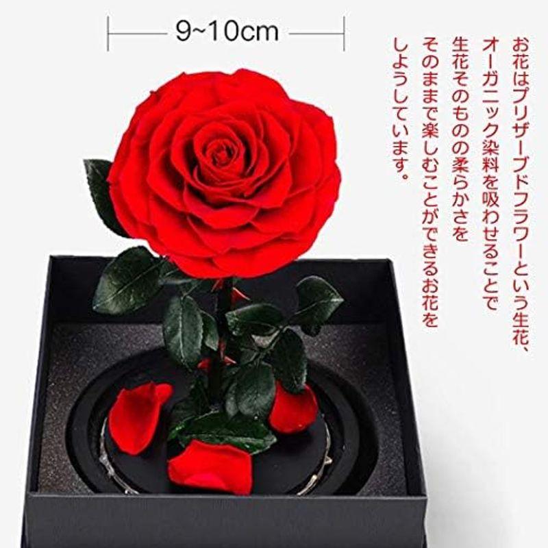 セール価格で販売 プリザーブドフラワー バラ ブラック 黒 ローズ 薔薇 花 可愛い ガラスドーム LEDライト付き 木製ベース ブリザードフラワー ロマンテ