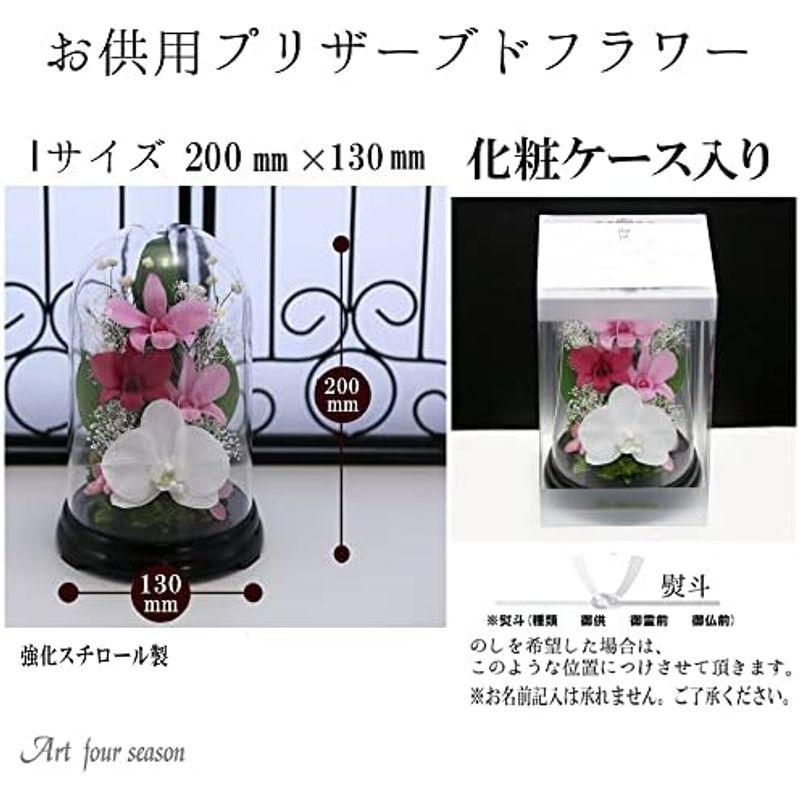 アートフォーシーズン 胡蝶蘭デンファレドーム ピンク プリザーブド