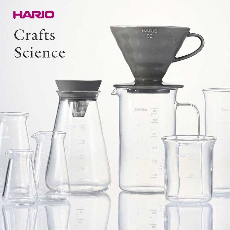 HARIO(ハリオ) ビーカーサーバー&ドリッパーセット クラフツサイエンス 実用容量600ml 1~4杯用 日本製 BVD-3012-GR｜nature-stores｜07