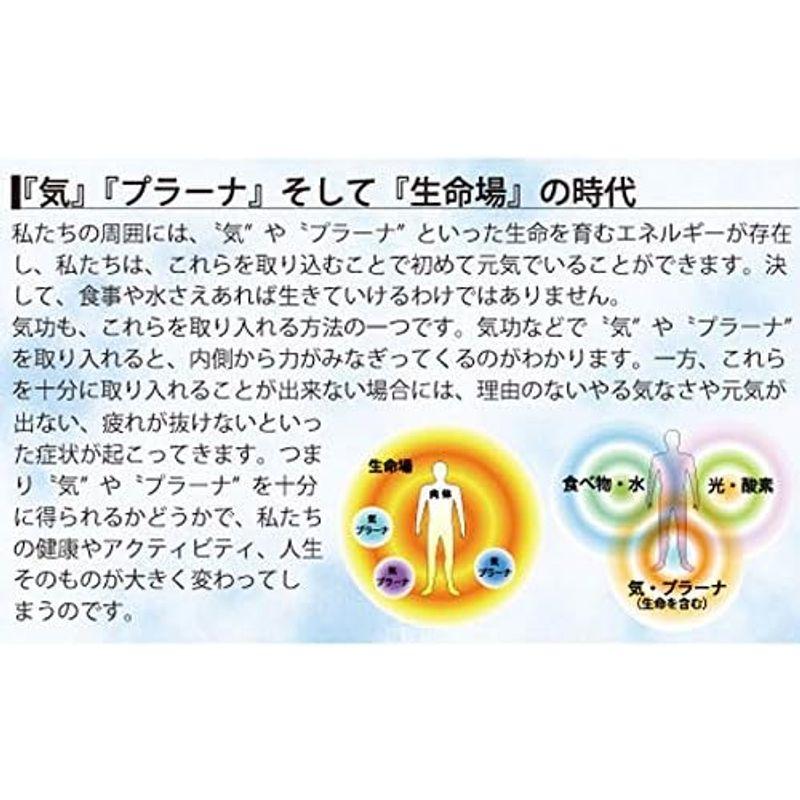 ダ・ヴィンチキューブ メサイア_2