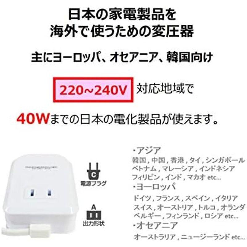 カシムラ 海外用変圧器 220-240V/100VA NTI-1002｜nature-yshop｜16