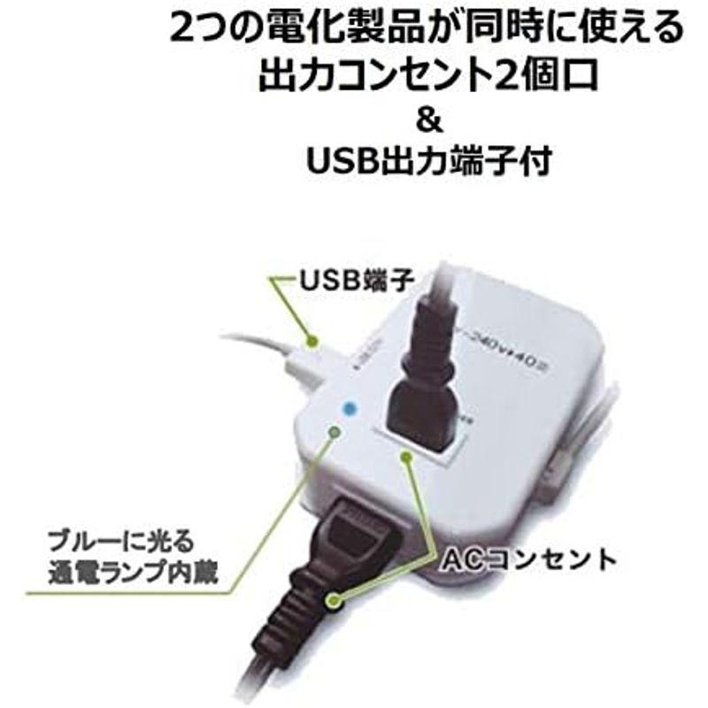 カシムラ 海外用変圧器 220-240V/100VA NTI-1002｜nature-yshop｜04