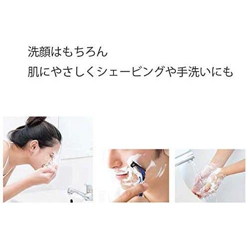 花王 業務用 5 大好評 フィエスタ 洗顔手洗いフォーム2l 容器 ボディスポンジ付き