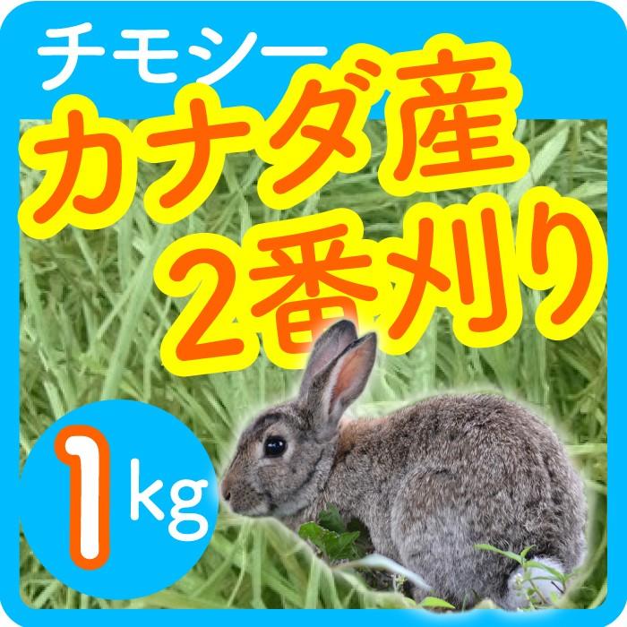 牧草　カナダ産チモシー2番刈りプレミアム　約30キロ あすつく】 【送料無料】 カナダ産 チモシー 2番刈/二番刈り 1kg
