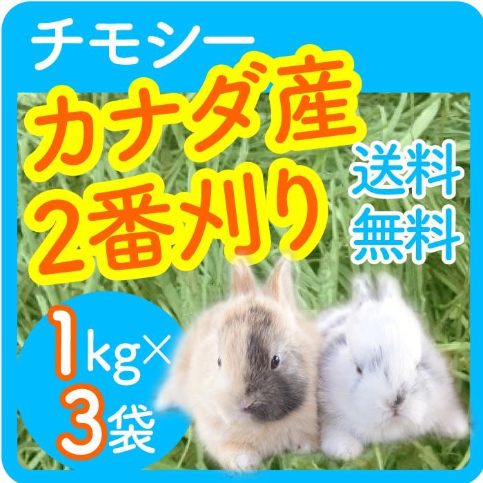 牧草　カナダ産チモシー2番刈りプレミアム　約30キロ あすつく】 【送料無料】 カナダ産 チモシー 2番刈 / 二番刈り 1kgx3袋