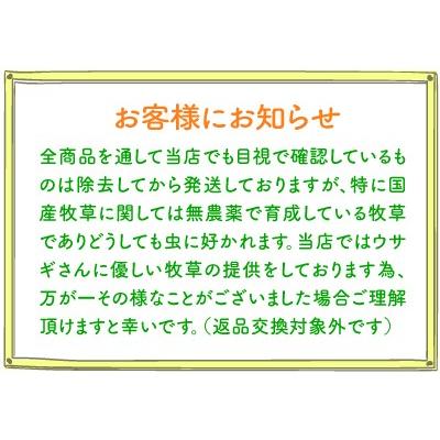 あすつく 2023新刈り入荷 送料無料 アメリカ産 1番刈り チモシー シングルプレス 1kg ｘ3袋 うさぎ　牧草　｜naturebreed｜02