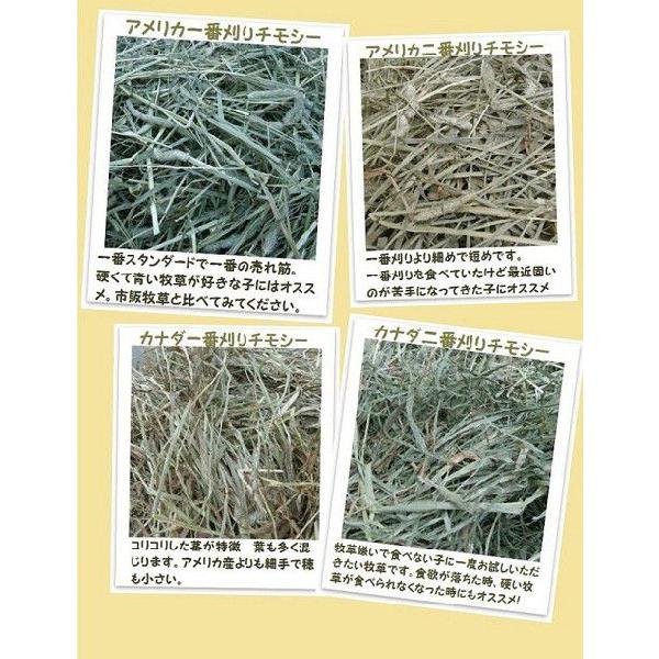 送料無料】カナダ産 チモシー 2番刈/二番刈り 1kg うさぎ/モルモット