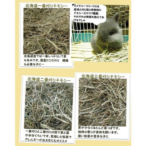 カナダ二番刈りチモシー 5kg うさぎ モルモット チンチラ テグーに Rcp うさぎ 牧草 チモシー 格安 Ca2ap 5k ネイチャーブリードヤフーショップ 通販 Yahoo ショッピング