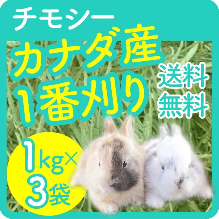 5周年記念イベントが もる様 専用 アメリカ産チモシー20㎏+オーツヘイ