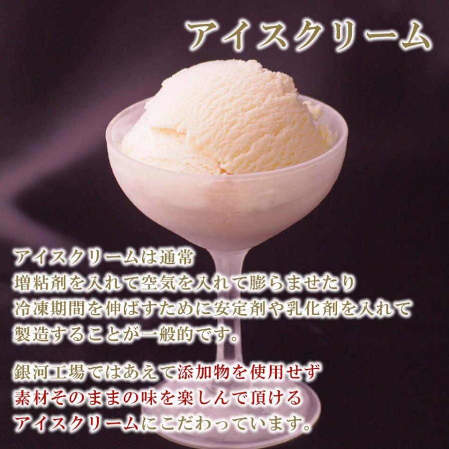 【高級料理店御用達アイス】【乳化剤・増粘剤・着色料一切不使用】銀河生アイス8個セット　地球セット　アイスクリーム お中元 御歳暮 |  | 05