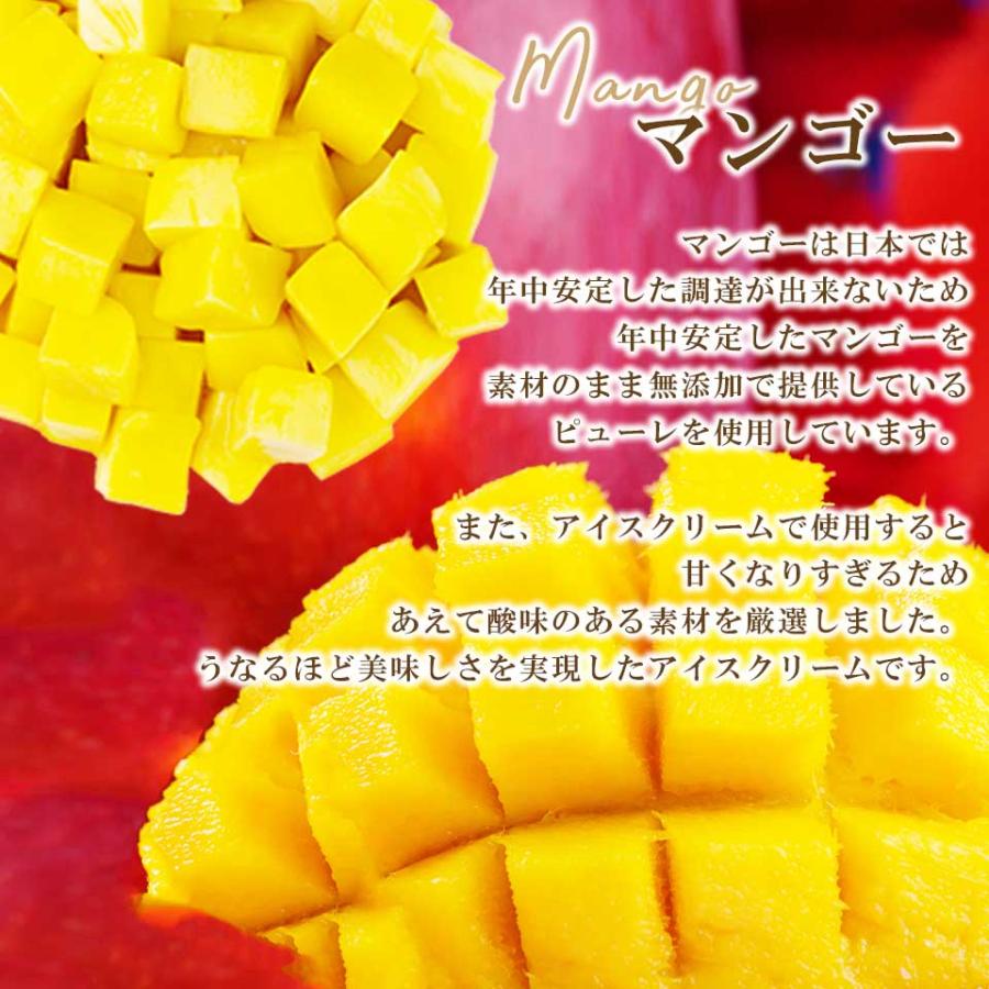 【高級料理店御用達アイス】【乳化剤・増粘剤・着色料一切不使用】銀河生アイス8個セット　地球セット　アイスクリーム お中元 御歳暮 |  | 10