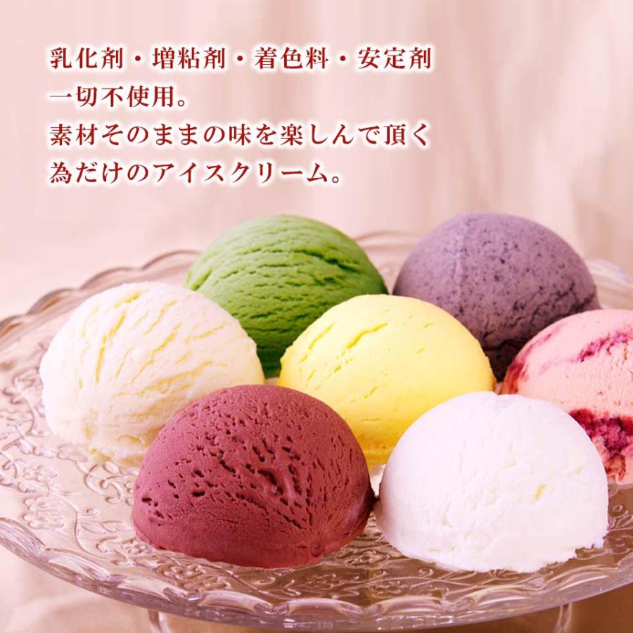 【高級料理店御用達アイス】【乳化剤・増粘剤・着色料一切不使用】銀河生アイス8個セット　地球セット　アイスクリーム お中元 御歳暮 |  | 02