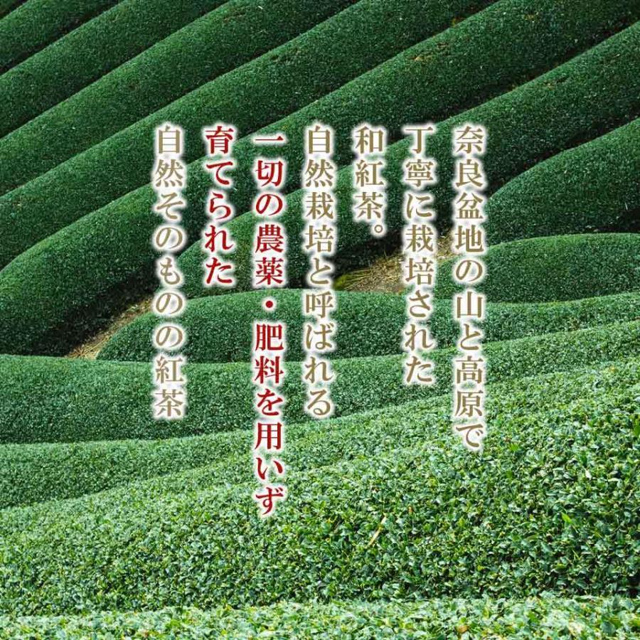 和紅茶ロール　国産小麦　純生クリーム100%　乳化剤・着色料・安定剤・保存料 不使用 |  | 02