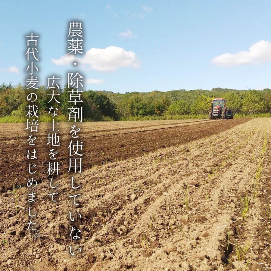 クッキー缶 プチギフト 4缶以上送料無料 銀河クッキー ラングドシャ プリンス缶 お菓子のミカタ クッキー 缶 かわいい  御歳暮 |  | 05