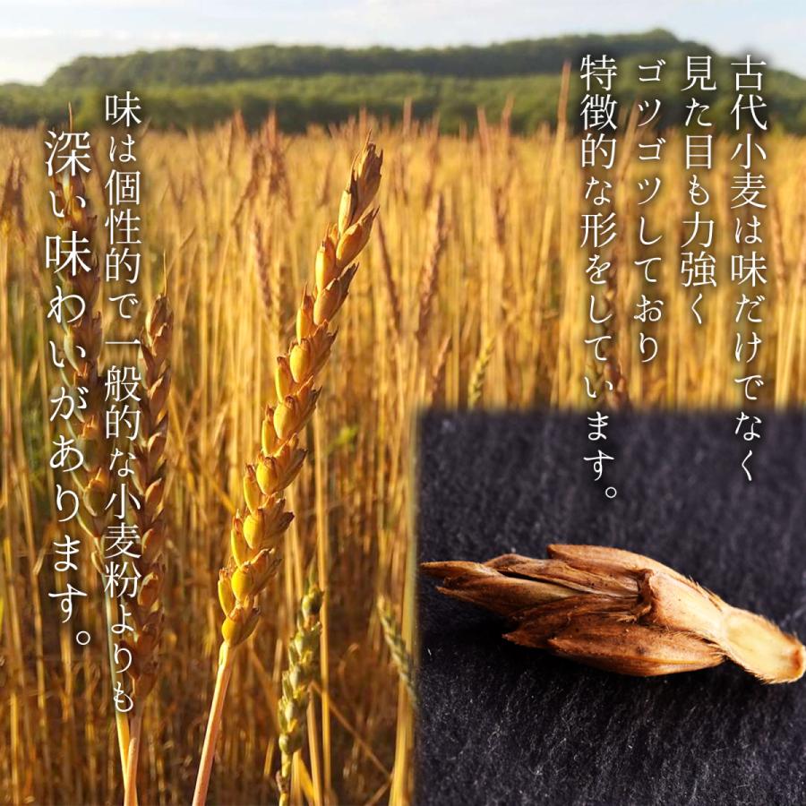 クッキー缶 プチギフト 4缶以上送料無料 銀河クッキー ラングドシャ プリンス缶 お菓子のミカタ クッキー 缶 かわいい  御歳暮 |  | 08