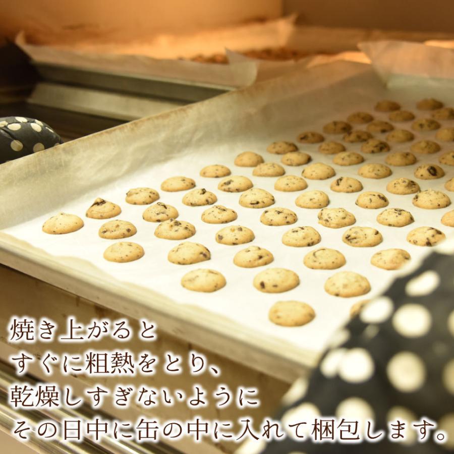 クッキー缶 プチギフト 4缶以上送料無料 銀河クッキー ビターチョコクッキー アドベンチャー缶 お菓子のミカタ クッキー 缶 かわいい  御歳暮 |  | 08