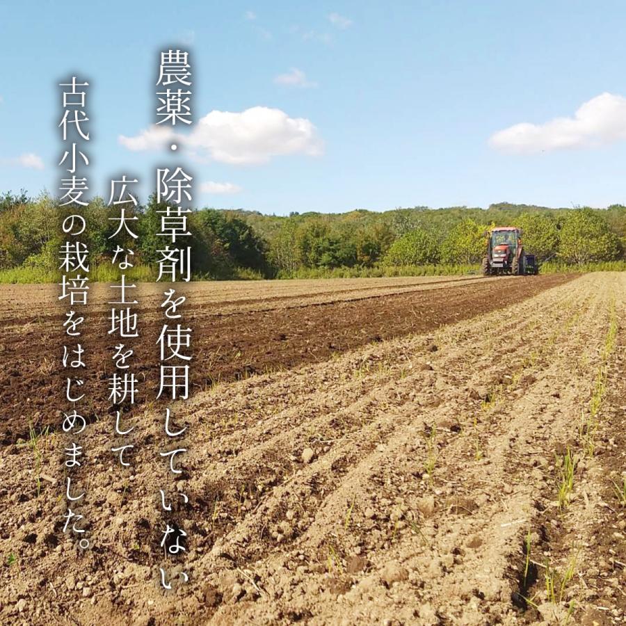 クッキー缶 プチギフト 4缶以上送料無料 銀河クッキー ラングドシャ ツインズ缶  お菓子のミカタ クッキー 缶 かわいい 御歳暮 |  | 05