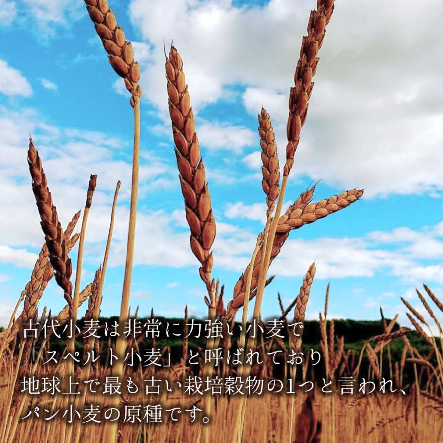 クッキー缶 プチギフト 4缶以上送料無料 銀河クッキー ラングドシャ ツインズ缶  お菓子のミカタ クッキー 缶 かわいい 御歳暮 |  | 04