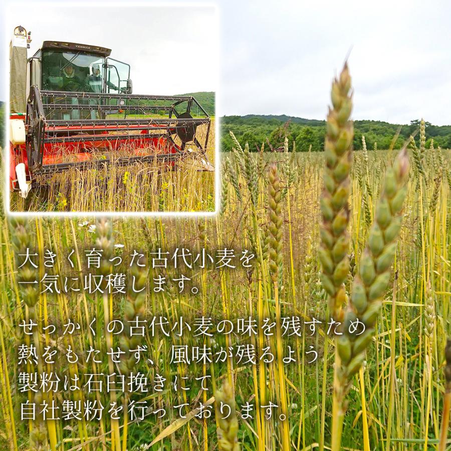 クッキー缶 プチギフト 4缶以上送料無料 銀河クッキー ラングドシャ ツインズ缶  お菓子のミカタ クッキー 缶 かわいい 御歳暮 |  | 07