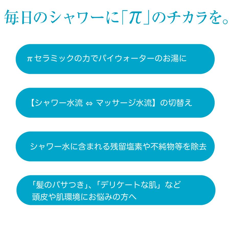 パイビューティーシャワー 交換用カートリッジ 1本 IBE パイウォーター