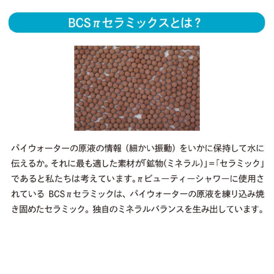 パイビューティーシャワー 交換用カートリッジ 1本 IBE パイウォーター