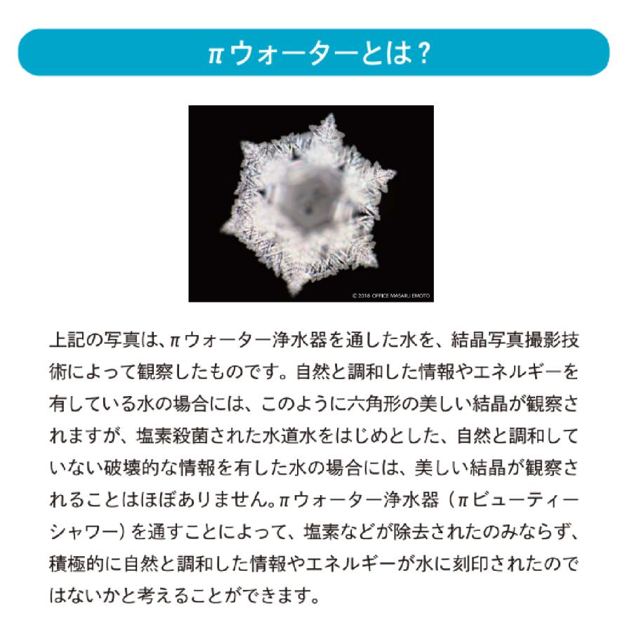 パイビューティーシャワー 交換用カートリッジ 1本 IBE パイウォーター