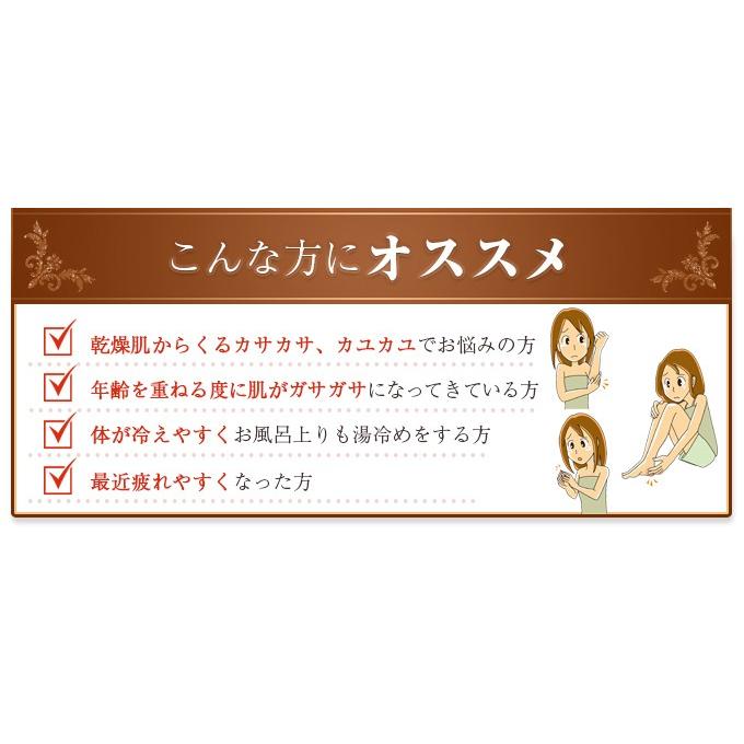 薬用酵素 入浴剤 レオスパB 830g 5本セット 関西酵素 医薬部外品 粉末