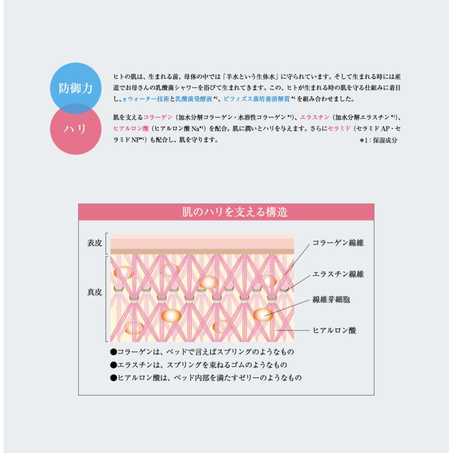 パイミクロ アガロ 50g IBE パイウォーター アイビーイー・テクノ 保湿