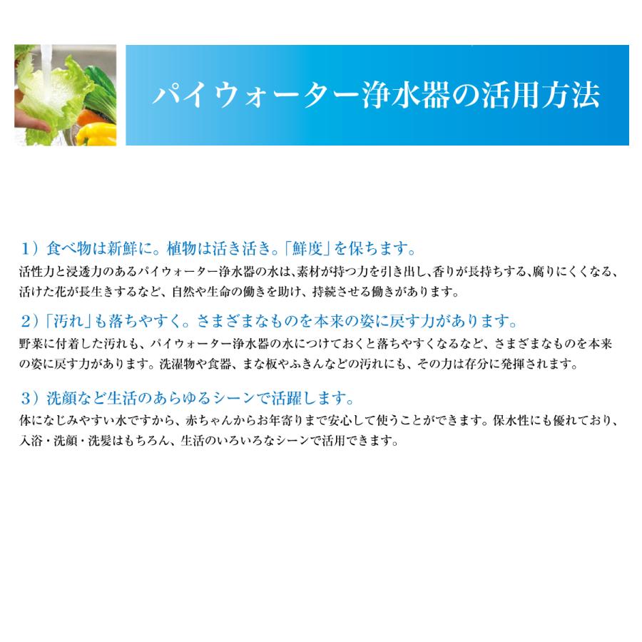 AQUA-π503 家庭用・業務用大型浄水器 IBE （アクアパイ503 πウォーター