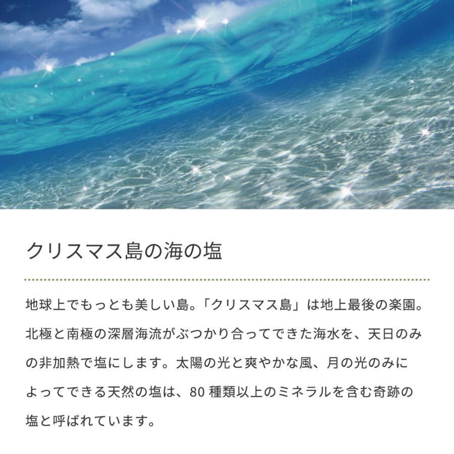 ペッツメルトジェル Pet's Melt 48g ペット用サプリメント 犬 乳酸菌