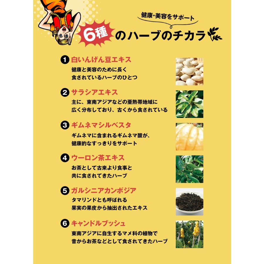 サプリメント 酵母 スベルティ SVELTY 3倍ぱっくん分解酵母 プレミアム 56粒 3個セット | 植物由来 酵母菌 糖質分解 糖質オフ 美容 サプリ 送料無料 |  | 04