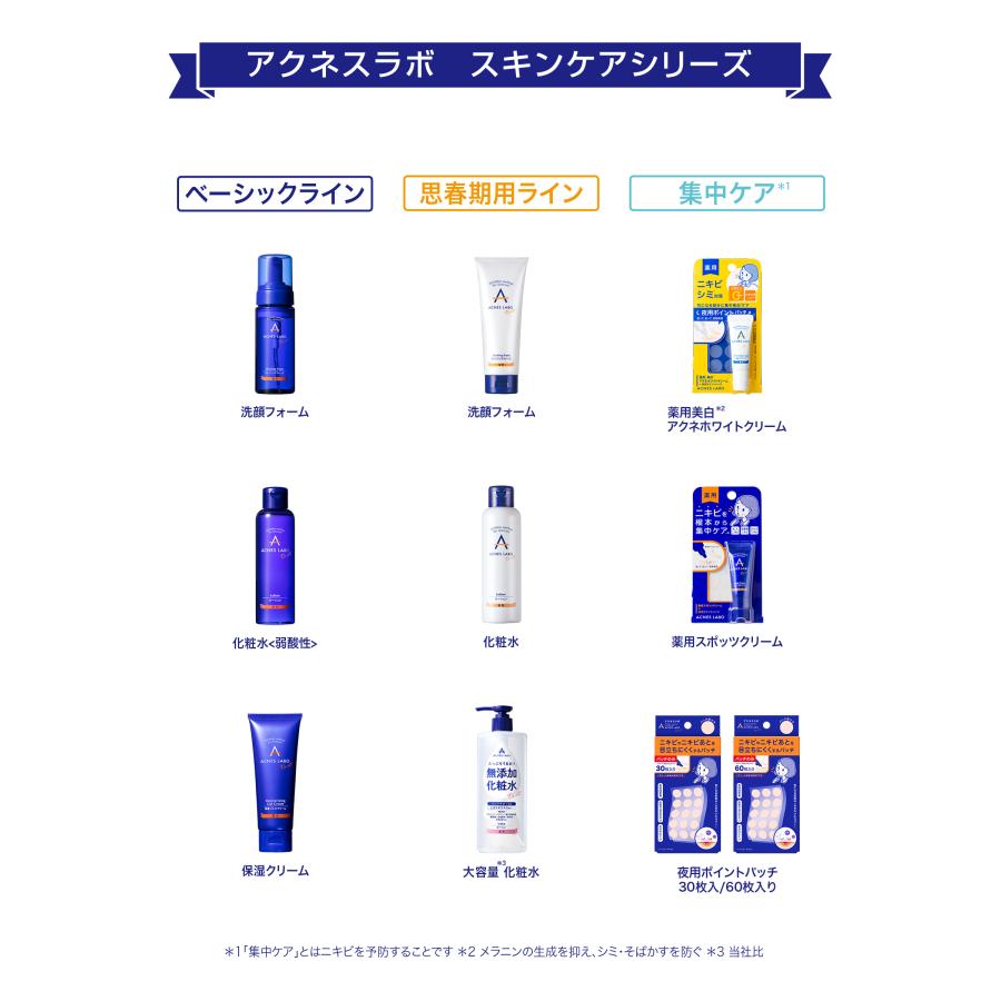 【ニキビ肌に◎】HIN アクネスラボ 洗顔フォーム 480ml 3本セット HIN アクネスラボ 薬用イソフラフォームM（洗顔料）140ml 【医薬