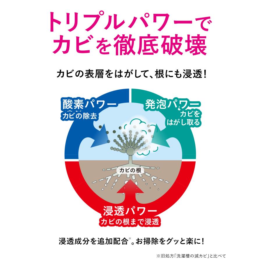 洗濯槽クリーナー クリーンプラネット 洗濯槽のカビ丸洗浄 A剤200g B剤25g | 酸素系 ドラム式 縦型 強力 粉末 カビ取り 消臭 除菌 |  | 03