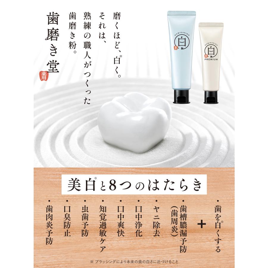 歯磨き堂 薬用ホワイトニング ペースト【医薬部外品】90g
