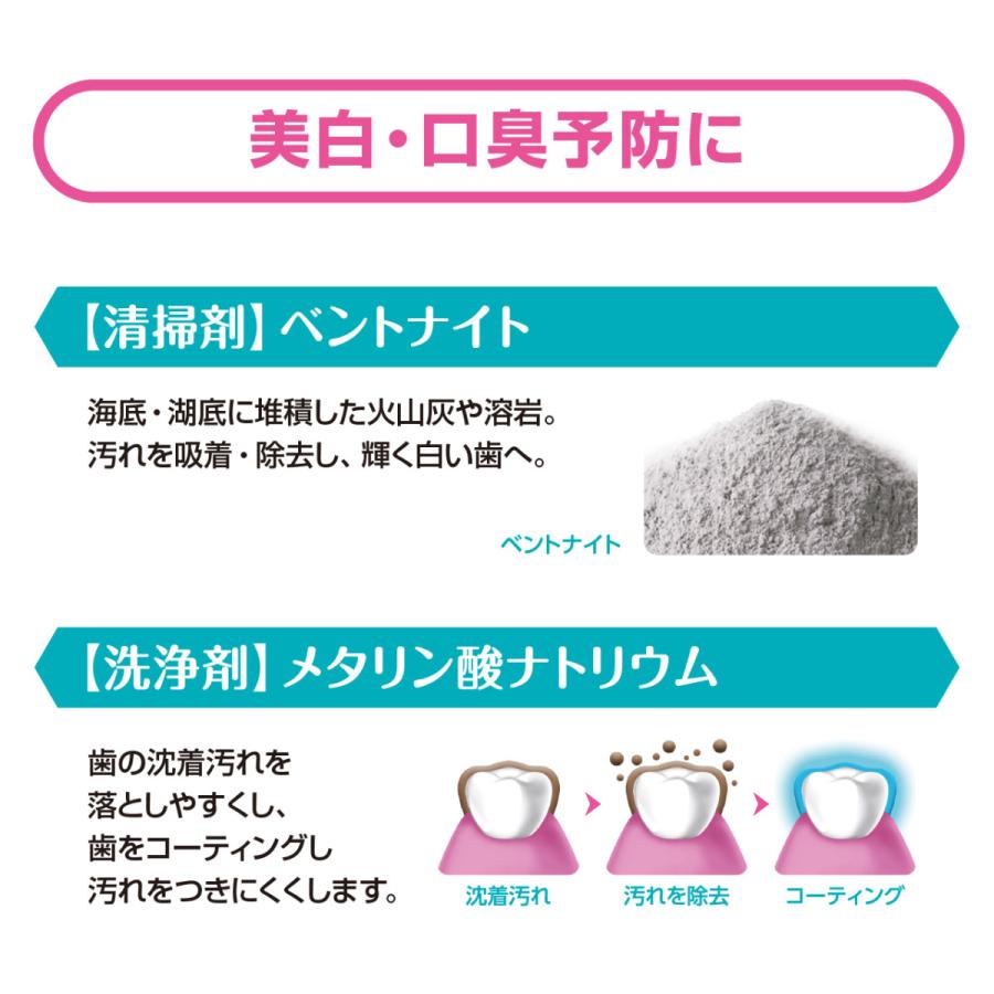 歯磨き粉 オーラルケア トゥービー フレッシュ ホワイトニング 薬用デンタルペースト プレミアム 60g オーラルケア 医薬部外品 |  | 02