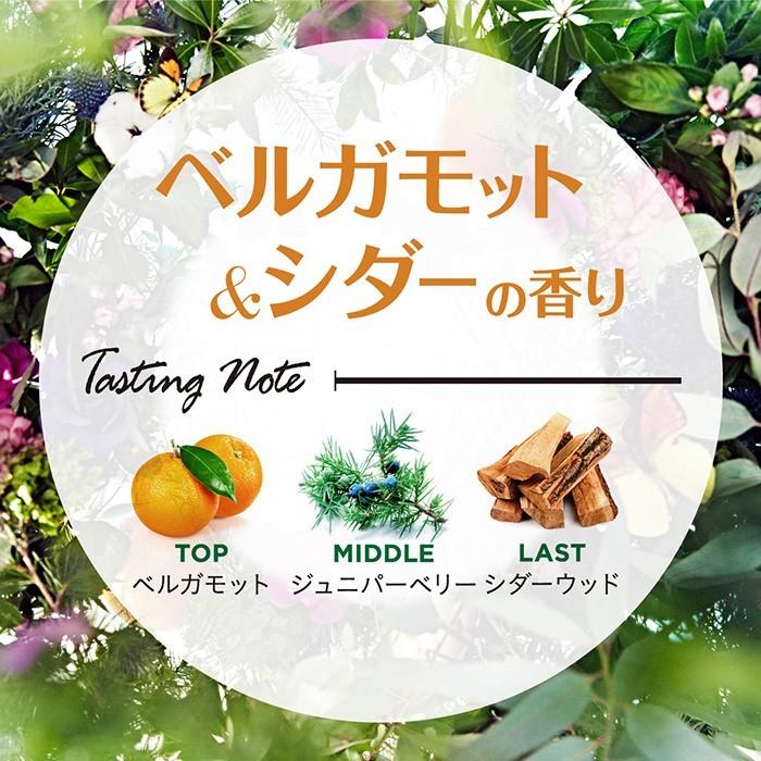 ランドリン柔軟剤つめかえ用〈ベルガモット&amp;シダー〉11袋＋ミスト Laundrin'（ランドリン） ランドリンボタニカル 柔軟剤 詰替