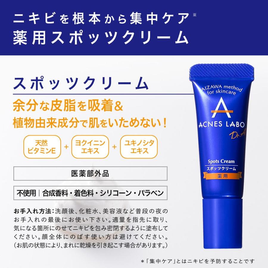 ACNES LABO（アクネスラボ） アクネケア【医薬部外品