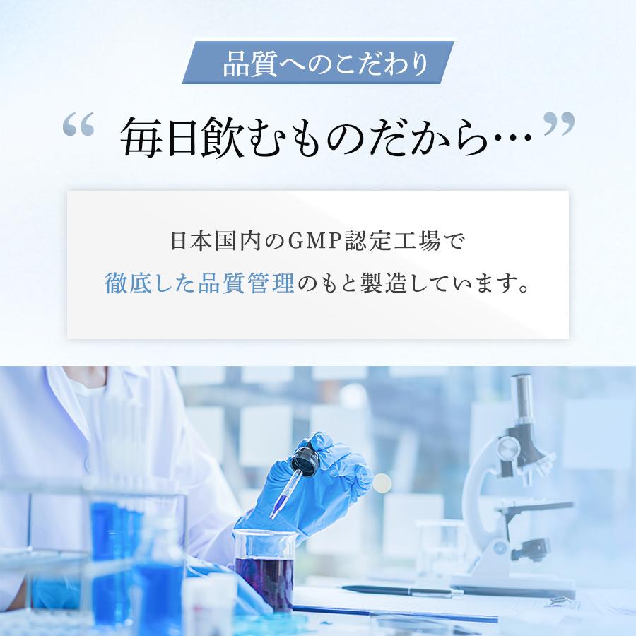 ダイエット サプリ お腹の脂肪 内臓脂肪 皮下脂肪を減らす 便通を改善する サプリメント ブラックジンジャー 乳酸菌 機能性表示食品 ナイシケアWプレミアム｜naturepharma｜14