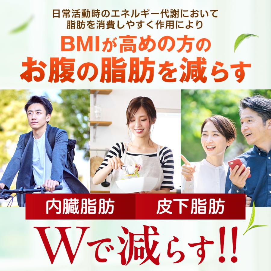 NaturePharma（ネイチャーファーマ） ダイエット サプリ お腹の脂肪