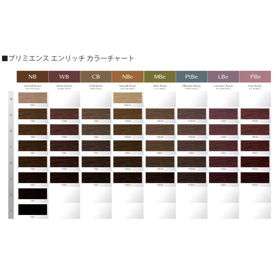 資生堂 プリミエンス エンリッチ LBe ラベンダーベージュ 80g :primience-lbe80:ナチュレア - 通販 - Yahoo!ショッピング 資生堂 プリミエンス エンリッチ LBe ラベンダーベージュ 80g :primience-lbe80:ナチュレア - 通販 - Yahoo!ショッピング