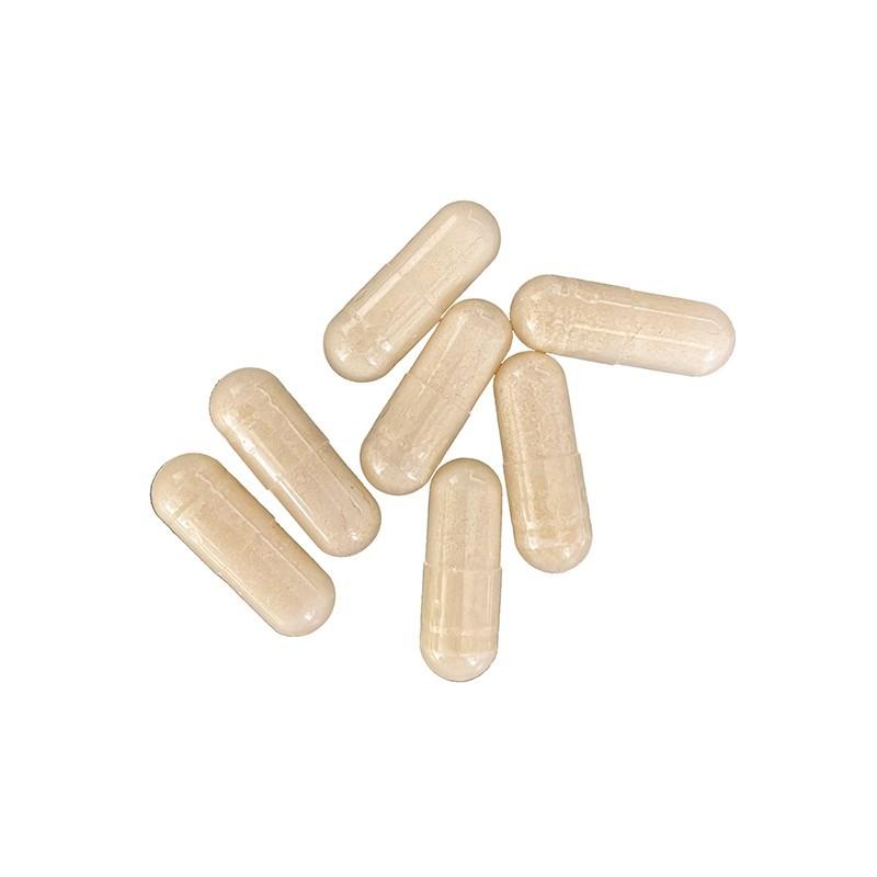 グレープシード OPC 200mg プロアントシアニジン ポリフェノール