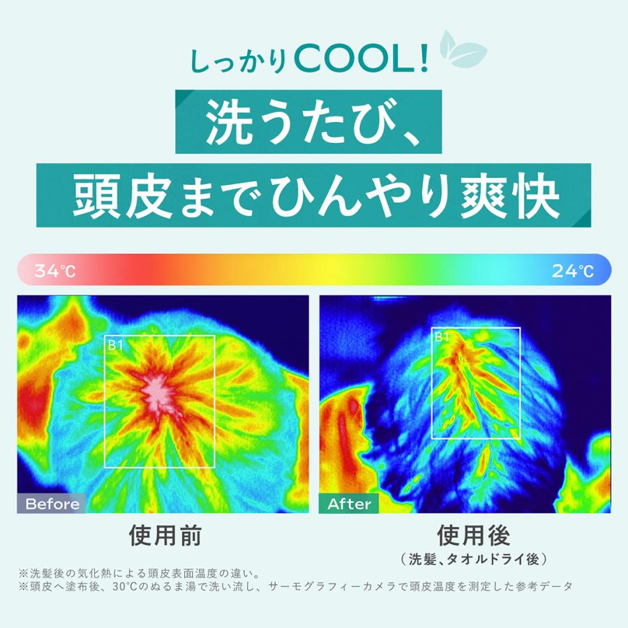 WELEDA（ヴェレダ） ＜2点セット＞ヴェレダ スカルプクレンジング